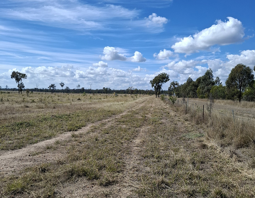 AMPYR is proposing to develop a state-of-the-art Battery Energy Storage System (BESS) near Kogan and Dalby within Queensland’s Western Downs region, designed to store energy for use during peak times.